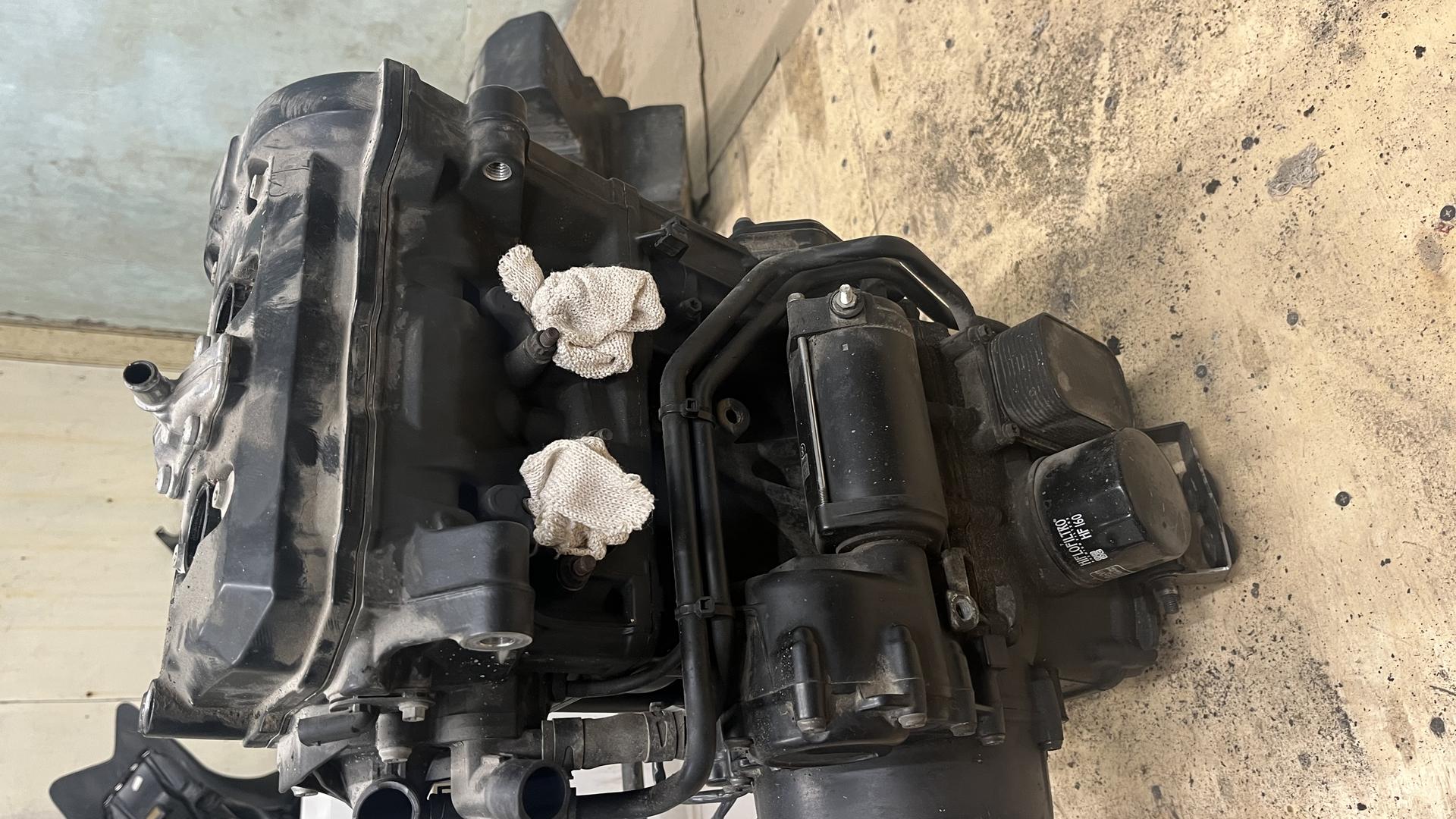 Двигатель Schwarz f800 (802EA) 11008554840