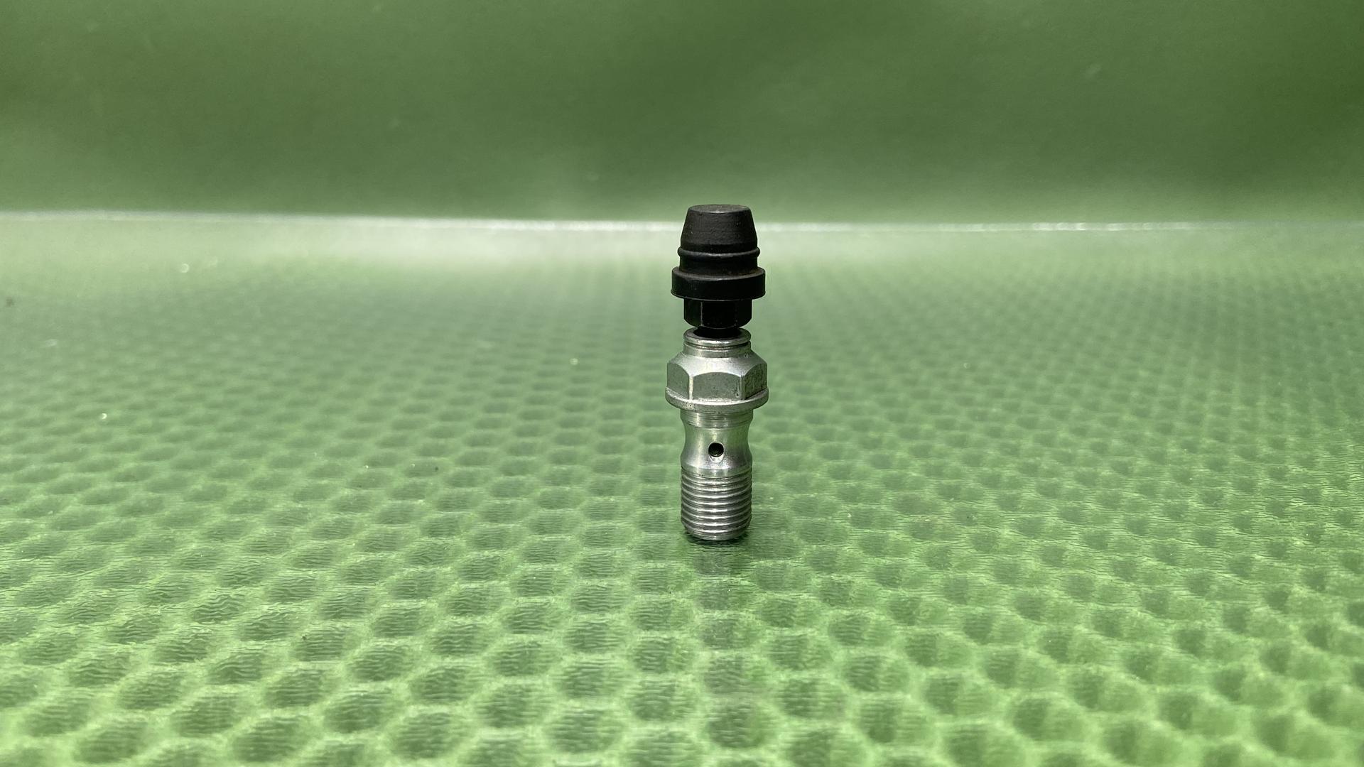 Резьб.пробка со штуцером для прокачки 34328559191