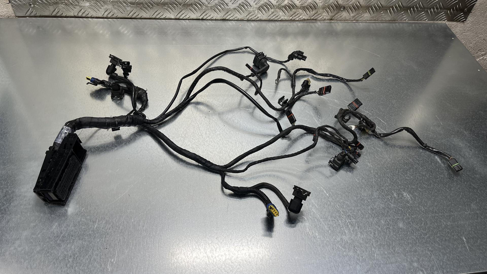 Жгут проводов двигателя RnineT 122EF 12518569728