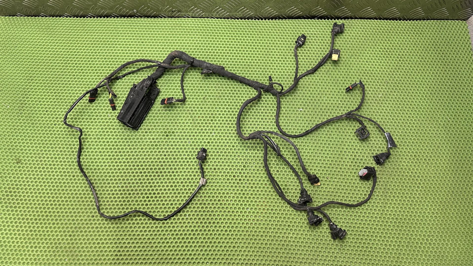 Жгут проводов двигателя F800GT (c 2017), F800R (c 2016) 12518356768